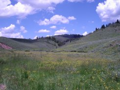 Idaho Scene