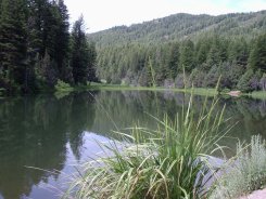 Pond